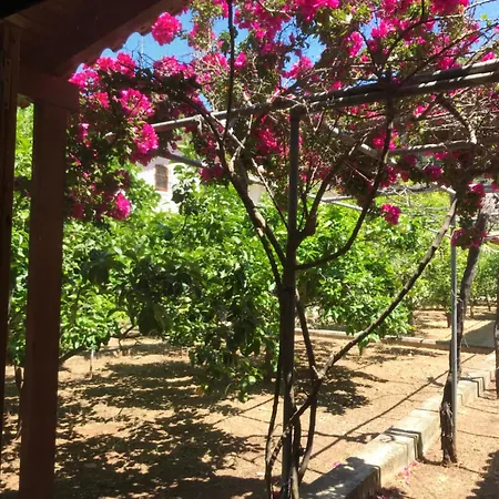 Charming - Paradise On Earth Loutraki (Corinthia)